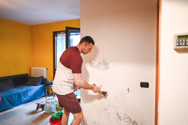 Best Emergency Mold Removal  in Alexandria, VA